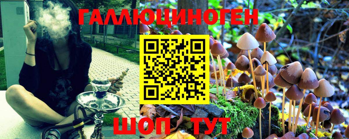 Псилоцибиновые грибы прущие грибы  Вход с VPN  Грязи  Галлюциногенные грибы Magic Shrooms 