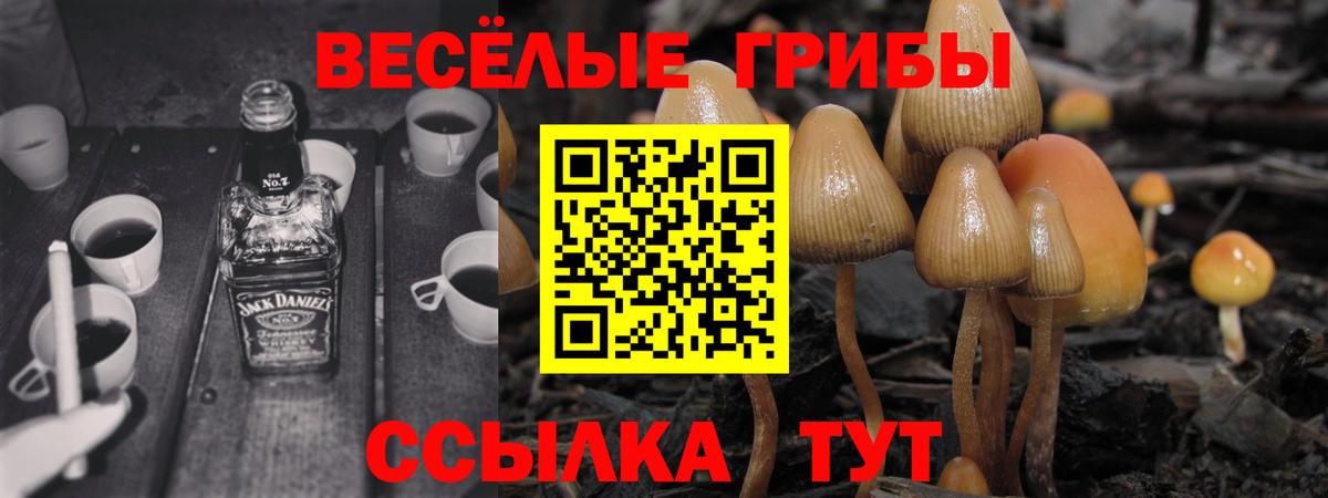 Псилоцибиновые грибы ЛСД Грязи
